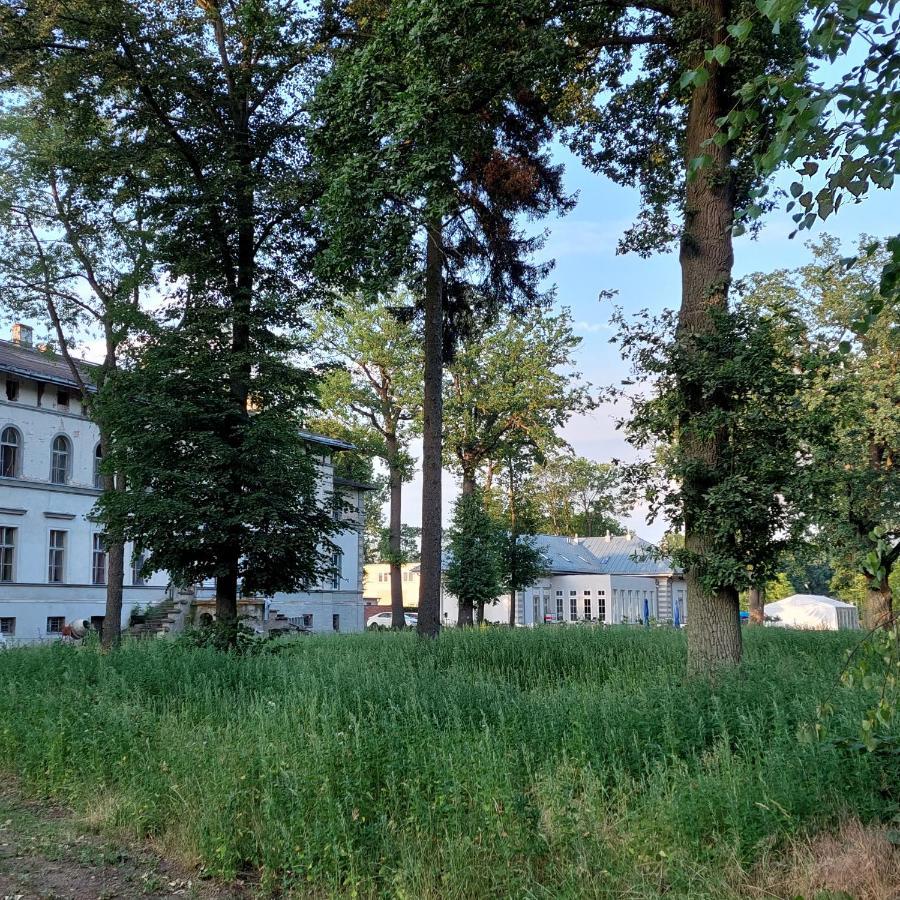 Palac Dabrowka Rawicz Екстериор снимка